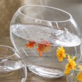 thumbnail image 2 of LOVEVER Flat Fish Tank Vase Fish Tank Clear Betta Tank Plants Pots Glass Oblate Fish Bowl Delicate Betta Tank, 2 of 6