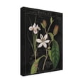 thumbnail image 2 of Sue Schlabach 'Vintage White Flora III' Canvas Art, 2 of 3