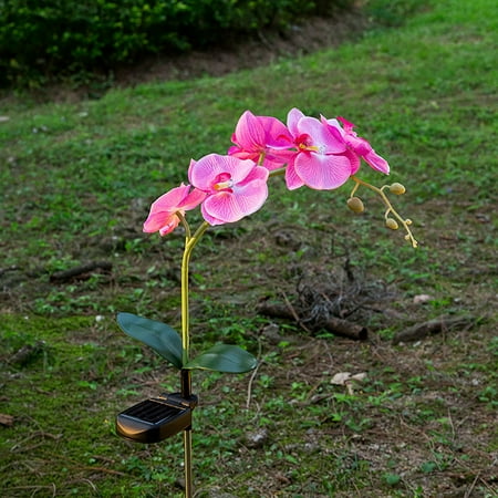

NIUREDLTD LED solar light PolyesterSturdygardenpeople