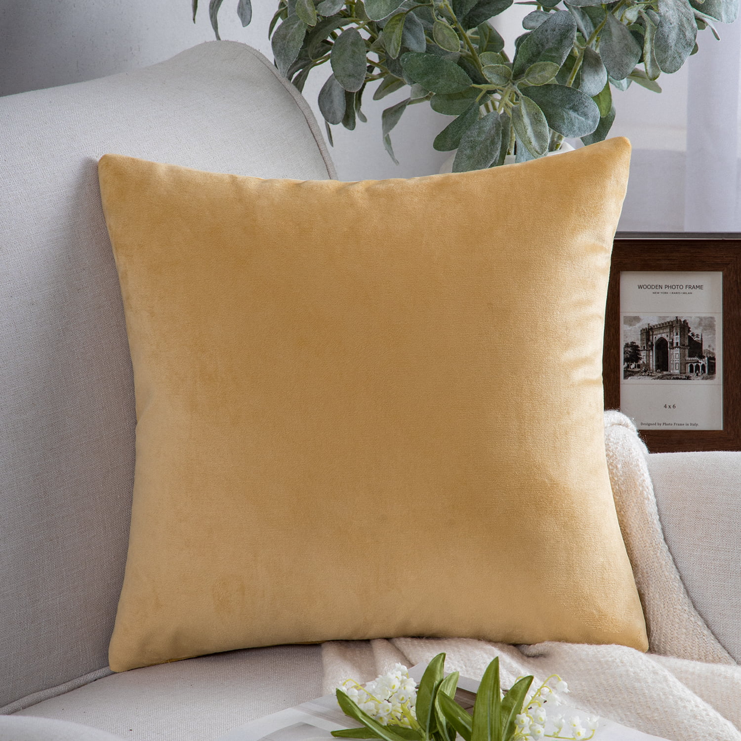 Phantoscope Soft Silky Velvet Series Decorative Throw Pillow, 22