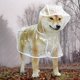 thumbnail image 4 of Impermeable para perros, impermeable transparente para mascotas, impermeable portátil para mascotas, impermeable para perros transpirable y liviano, adecuado para caminatas al aire libre en días, 4 of 4