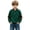 Green, variant on Hurxie Boy's Quarter Zip Pullover Lightweight Mock Neck Active Tops Kids Sweatshirts, Long Sleeve Golf Shirts School Fall Sports Clothes 110