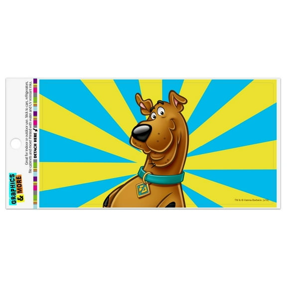Scooby-Doo Character Automotive Car Refrigerator Locker Vinyl Magnet