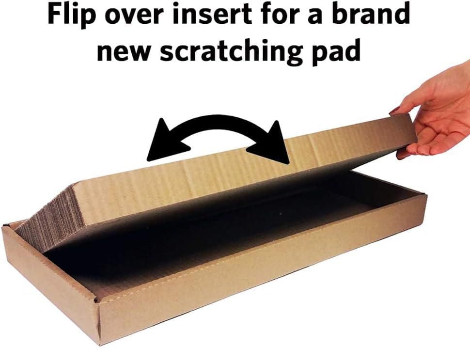 Midwest Catty – Petit chat gratté