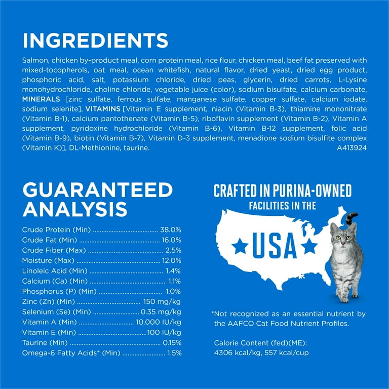 Purina ONE Plus Salmon Cat Food, High Protein Kibble photo 4