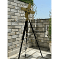 thumbnail image 2 of Nauticalmart Electric Brass Antique With Black Tripod Adjustable Floor Fan -Retro Home Decor ,Industrial Style Fan, 2 of 6