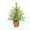 24 Inch, variant on DAMAI 18" Pre-Lit Green Cypress Artificial Christmas Tree with 30 Warm White Twinkle LED Lights, Artificial Tabletop Christmas Trees with Woven Basket Base for Kitchen Dining Room Window(No Light)
