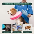 thumbnail image 6 of Kuoser Soft Inflatable Dog Cone for Recovery after Surgery, Alternative to Plastic E-Collar for Small Medium Large Dogs, Rose-red, M, 6 of 8