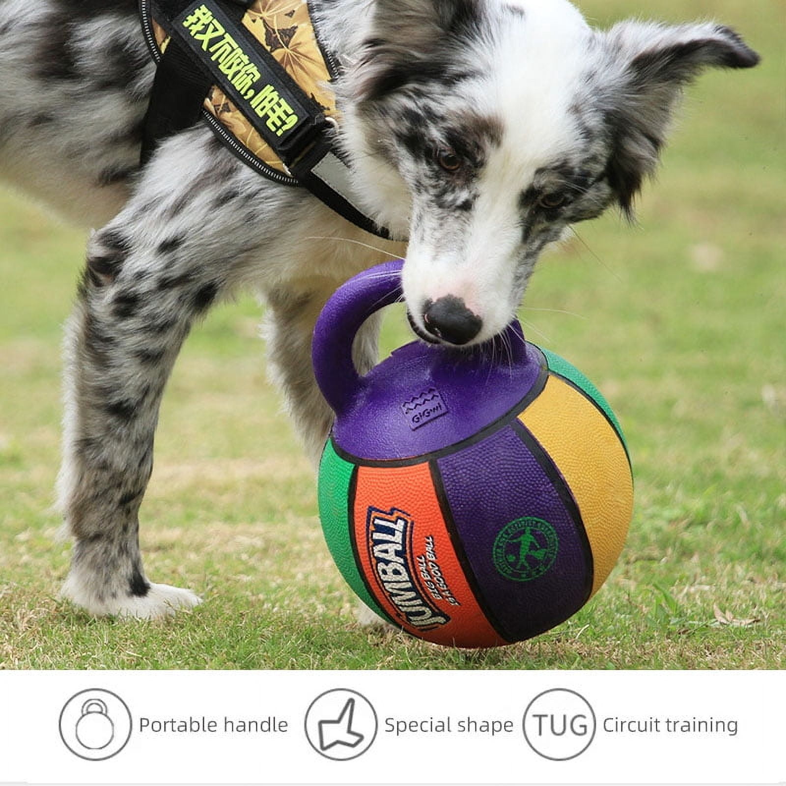 GiGwi Jumball Rubber Basketball Dog Toy with Handle High Visability Throw Fetch Toy Dog Ball
