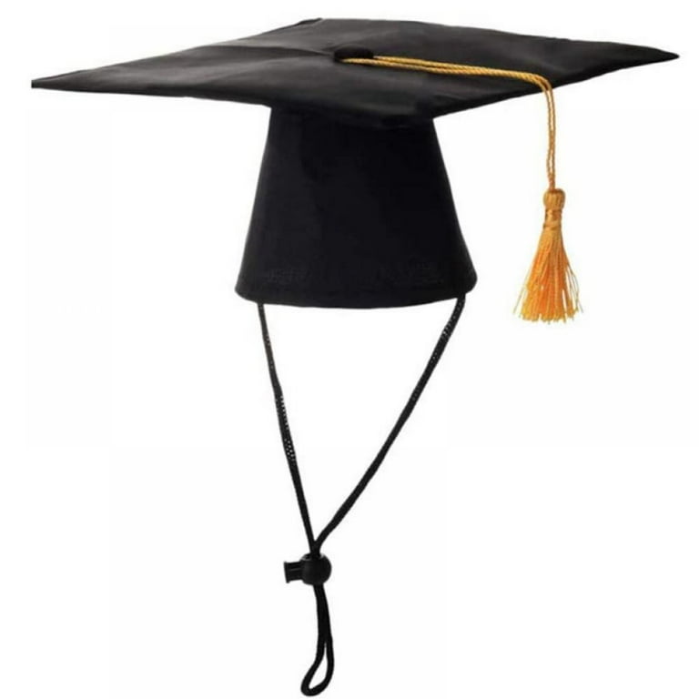Dog graduation hat cheap