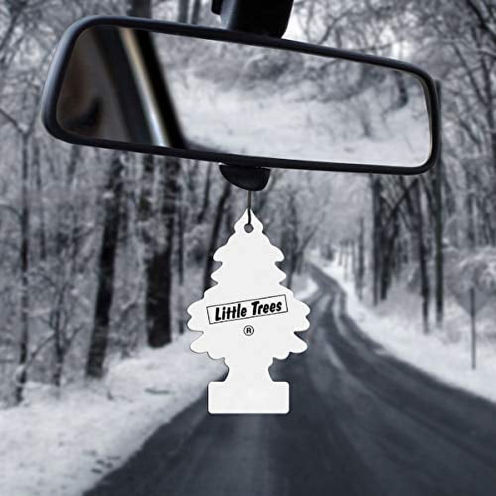 Little Trees Hanging Car and Home Air Freshener, Coconut Scent (Pack of 24)