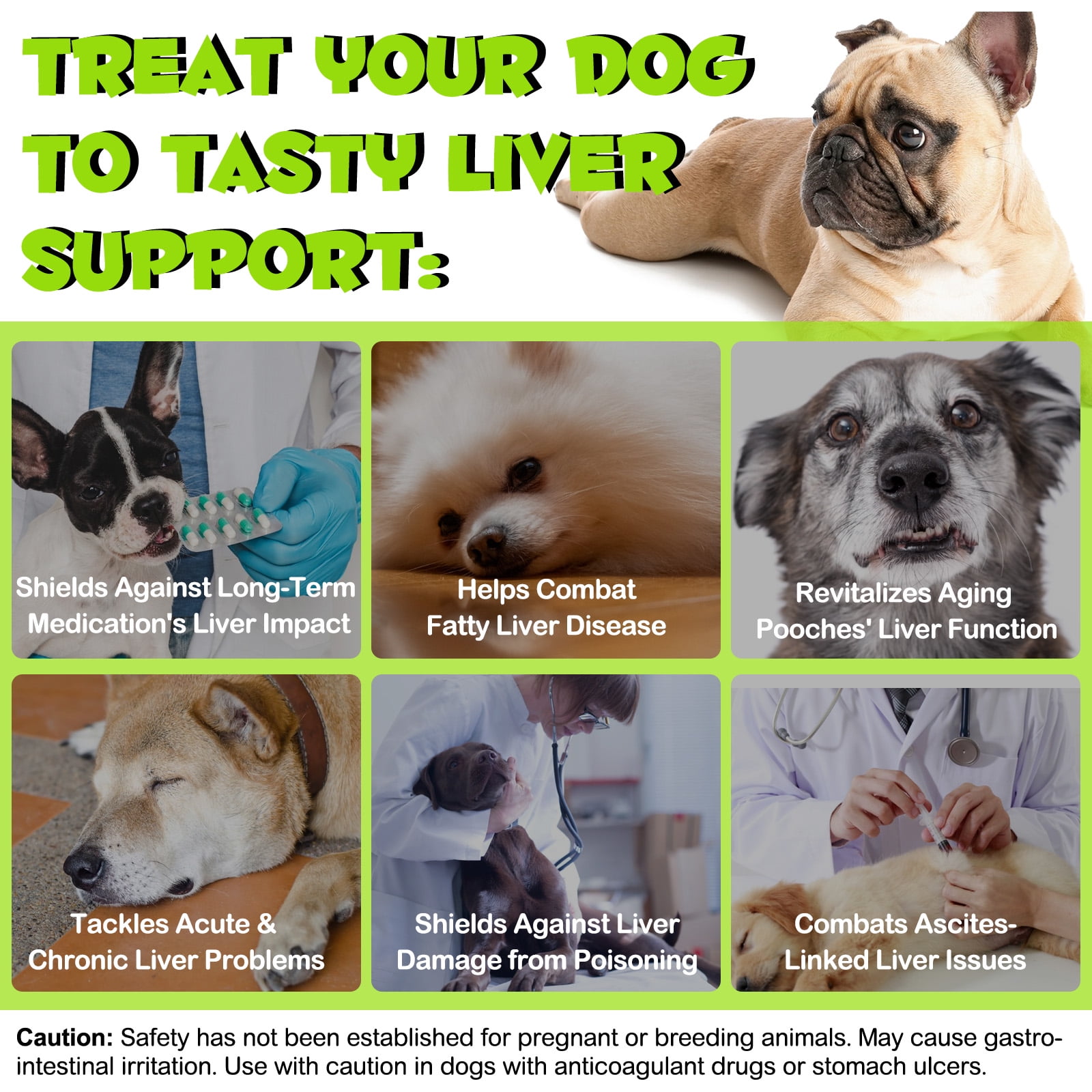 Liver Function Liver Problems In Dogs Treatment Oimmal Liver