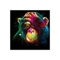 thumbnail image 1 of Kearding Pintura de diamantes 5D colorido orangután resina costura animales diamantes de imitación bordado punto de cruz cristal habitación pintura Artesanía Kearding JJ12263-00, 1 of 6