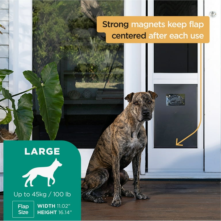Hakuna dog door top