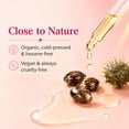 thumbnail image 6 of Tgideas Organic Castor Oil for Hair, Brows & Body – Cold-Pressed & Hexane-Free – Deeply Moisturizes and Softens Skin and Hair – Naturally Derived with Pure Organic Castor Oil – 1.0 fl oz (30ml), 6 of 6
