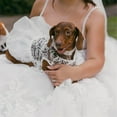 thumbnail image 2 of HQREA  Hollow Dog Tutu Wedding Skirt Lace Pearl Bow Dress Luxury Pet Apparel, 2 of 6