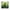 Green, variant on Smke Window Privacy Film 19.7 X 19.7 Inch Non-Adhesive Static Cling Stained Glass Window Film Decorative Double-Sided Floral Window Clings For Home Office Living Room,Green Sector，Cling Film