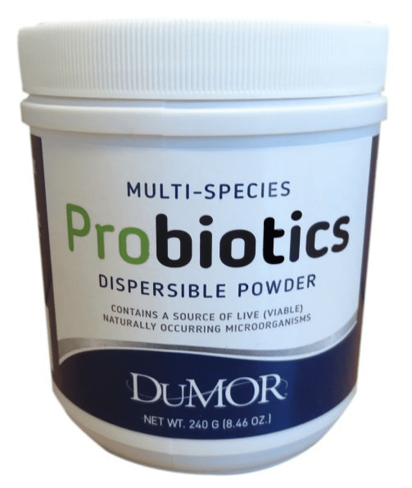 DuMOR 57539 240 g. Multispecies Dispersible Powder Probiotic