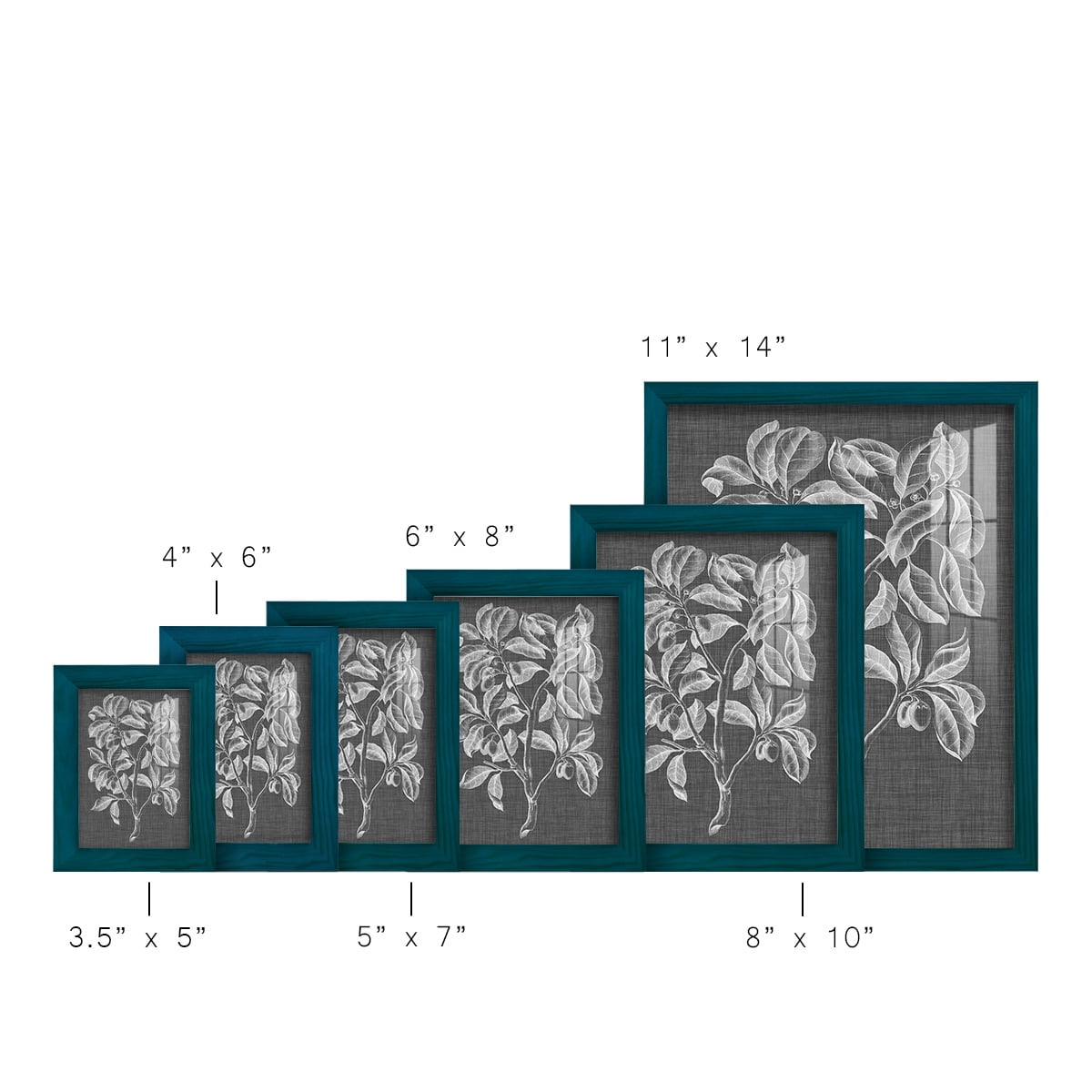 Graphic Foliage I - Framed Print w/glass - Ocean Blue