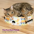 thumbnail image 6 of Catstages Bowl Track Scratcher Cat Ball Track Scratcher and Lougner, Multicolored, 6 of 8