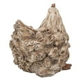 thumbnail image 3 of Hi-Line Gift 87650-F Driftwood Squatting Hen Statue, 3 of 5
