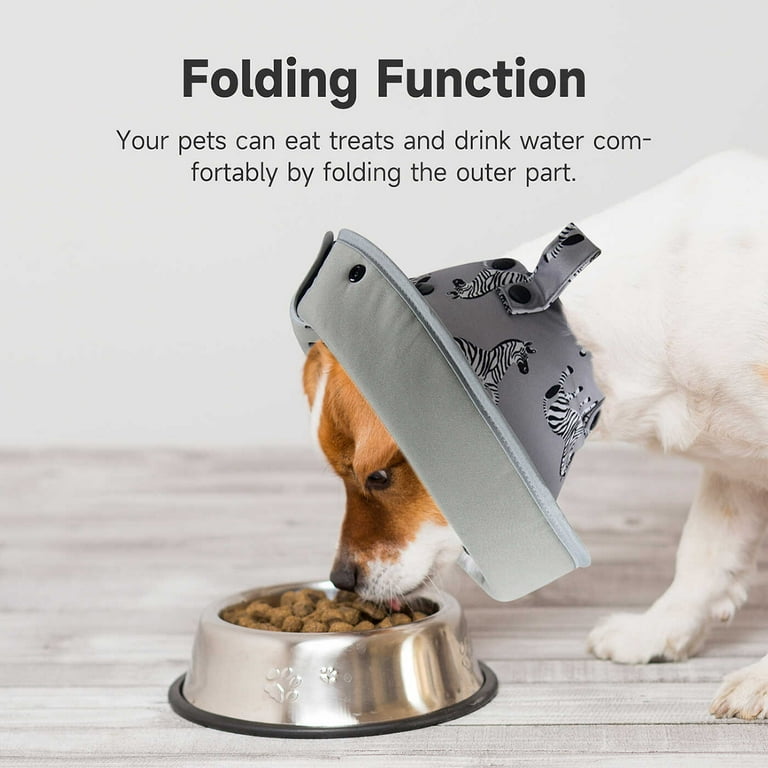 Can A Dog Eat With A Cone On