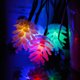 thumbnail image 1 of Al aire libre a prueba de agua 20led piñones Enchufe de tierra solar Cadena de luz Día de Navidad decoración de patio luz colorida TUNC Sencillez, 1 of 5