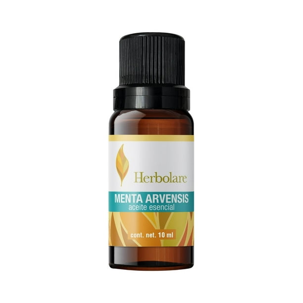 Aceite Esencial Menta Arvensis 10 Ml Aromaterapia Herbolare Herbolare Menta Arvensis