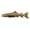 Gold Plated, variant on Taimen Trout of Mongolia, Copper Plated Pin FC028PR 3 1/4”, Very Large Lapel Pin, Hat, Pins, Brooch, Brooches, Jewelry, Gift, 100% Handmade in the USA