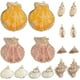 thumbnail image 1 of 1 caja de 16 dijes de concha de mar de 8 estilos, dorados, para verano, playa hawaiana, conchas de vieira naturales., 1 of 5