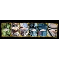 thumbnail image 6 of Zombicide Rio Z Janeiro Board Game Expansion, 6 of 6