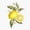 1pcs, variant on Lemon Botanical Garden Decor Art Vinyl Sticker