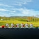 thumbnail image 2 of Adornos de Gatos de la Suerte, Juego de Figuras de 8 Piezas de Gatos de la Riqueza, Modelo de Resina de Gatito en Miniatura de la Fortuna, Adorno para Escritorio, 2 of 5