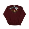 thumbnail image 1 of DC Comics Mens Justice League Movie Wonder Woman Emblem Sweatshirt, 1 of 5