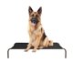 thumbnail image 1 of Cama para Perro, 122 * 71 * 21cm Cama Elevada para Perro Portátil con Malla Lavable y Transpirable, Marco de Metal, para Uso Interior, Exterior y Camping, 1 of 7