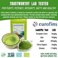 thumbnail image 3 of Organic Ceremonial Grade Matcha Powder, 1.59oz, Better for Latte, Smoothie, Natural Drink by EFOOFAN, 3 of 10