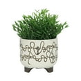 thumbnail image 4 of Home Decor Flower Pots and Planters - Contemporary Ceramic Indoor Plants, Outdoor Planters, and Modern Plant Pots - Elevated Decorative Accent for Garden or Patio Set of 2 - 8", 6" Ivory & Tan, 4 of 9
