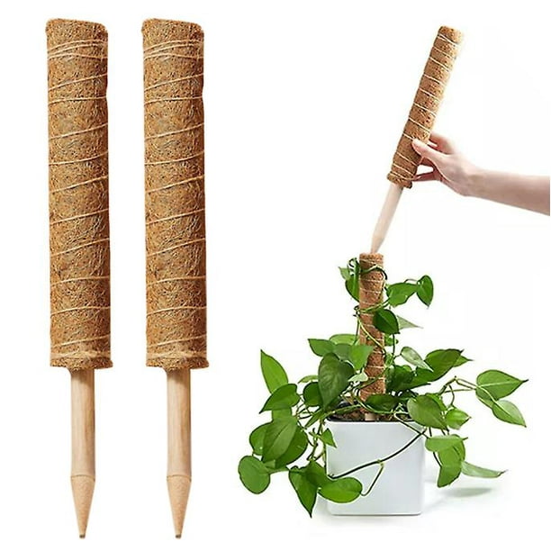 Yeestone Moss Pole Plant Support Pole Coconut Moss Stick Totem Pole Cheese Plant Moss Pole For