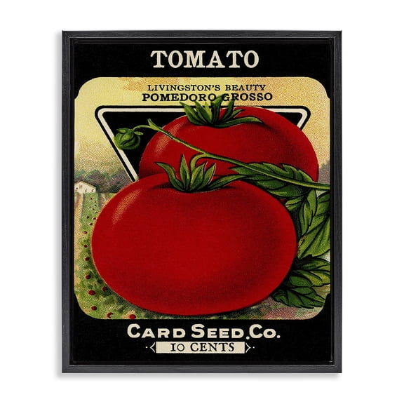 Stupell Industries Vintage Gardening Tomato Food & Beverage Painting Black Floater Framed Canvas Art Print Wall Art, 17 x 21