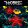 thumbnail image 1 of Simulation Starfish, Plastic Landscape Decoration Luminous Red,Blue Wonderful Aquarium Simulation Starfish, For Fish  Aquarium, 1 of 8