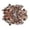 Brown2, variant on Natural Mixed Quartz Stone Rock Gravel Tank Decorative Stones, 100 g, Beige2