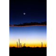thumbnail image 2 of Moonrise Poster Print by Douglas Taylor-VARPDXPSTLR141, 2 of 2