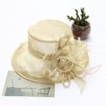 thumbnail image 2 of Audhol Derby Hats Women's Church Kentucky Daily Cap Fascinator Bridal Tea Party Wedding Hat Vintage Hat Khaki One Size, 2 of 2