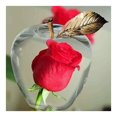 thumbnail image 1 of Apples Pattern Distinctive  DIY Painting Easy Operation Harmless  DIY Painting for Enhancing Kid‘s Hands-on Ability, 1 of 7