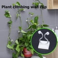 thumbnail image 5 of Washranp 10Pcs Wall Plants Climber Vine Sticky Wall Clips,Saving Space Plant Fixture Clips Self-Adhesive Traction Wall Clip for Garden, 5 of 7