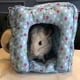 thumbnail image 2 of Cama Colgante Casa Juguetes Hámster Complimentos Mascota Color Brillante Ecológico Duradero Colco Hamster Tunnel Hammock, 2 of 8