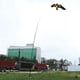 thumbnail image 3 of Cometa repelente de aves Sincero protectora de cultivos con poste telescópico de 7 m, 3 of 10