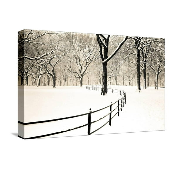 Art.com Central Park Snow Stretched Canvas Print Wall Art by Andrew Geiger, 18" x 12"