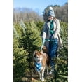 thumbnail image 4 of Spruce Winter Hat with Pom Pom & Waterproof Dog Collar Matching Set, 4 of 8