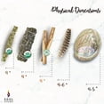 thumbnail image 2 of Sage Smudge Kit | Lavender Smudge Stick, Sweetgrass Braid, 2 Palo Santo Sticks, Abalone Shell, & Feather Smudging Kit for Meditation, Yoga, Reiki, Home Cleansing, 2 of 7